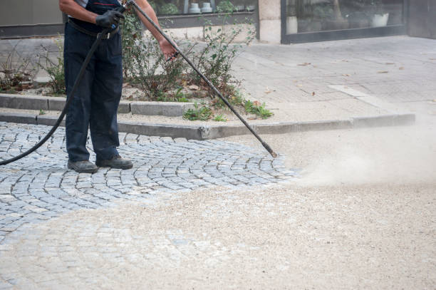 Best Pre-Holiday Cleaning  in Arnold, CA