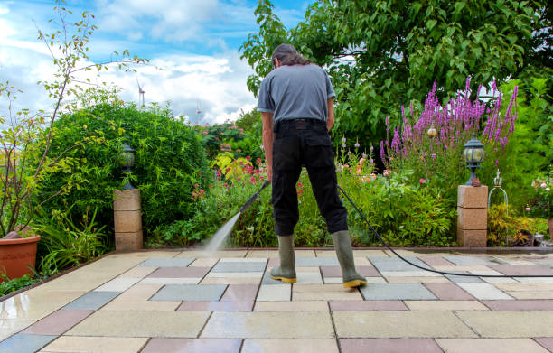  Arnold, CA Pressure Washing Pros